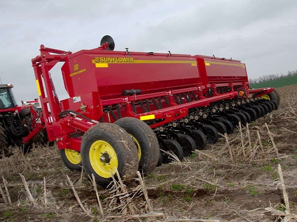 2026 SUNFLOWER 9421-30