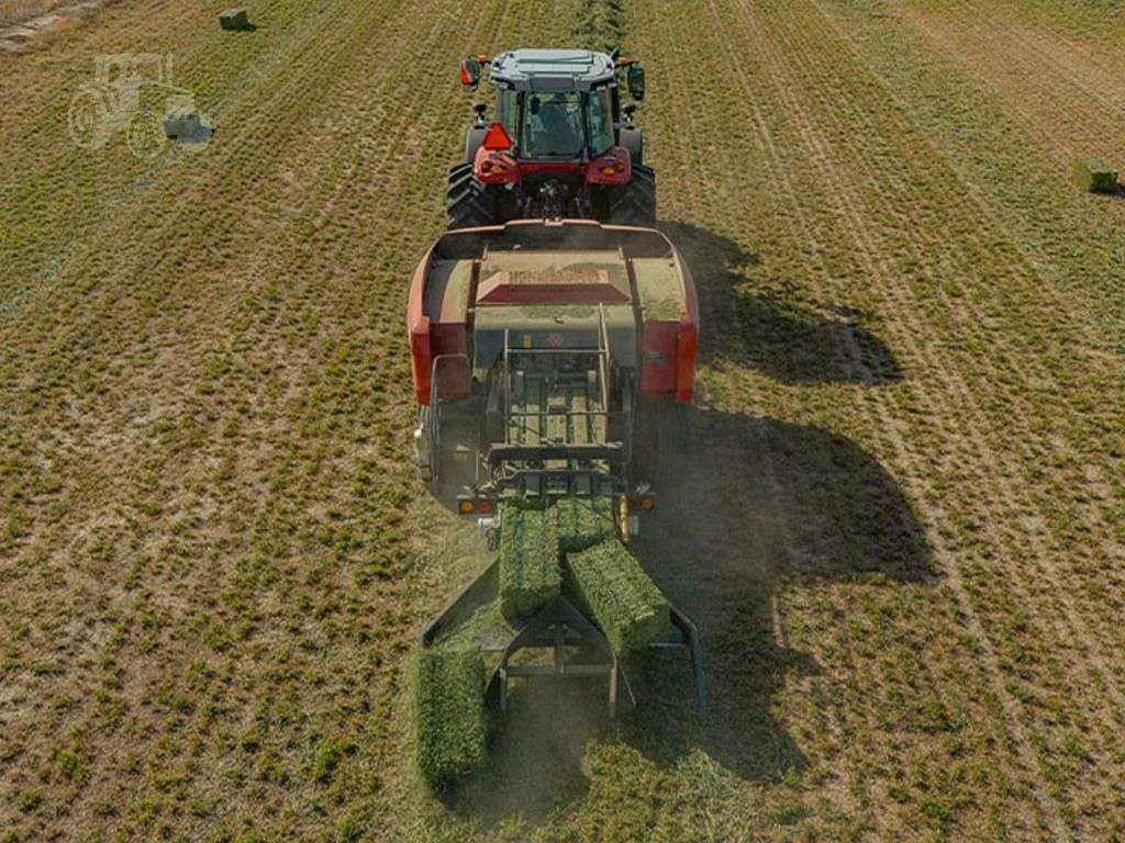 2026 MASSEY FERGUSON SB.1436DB image 4