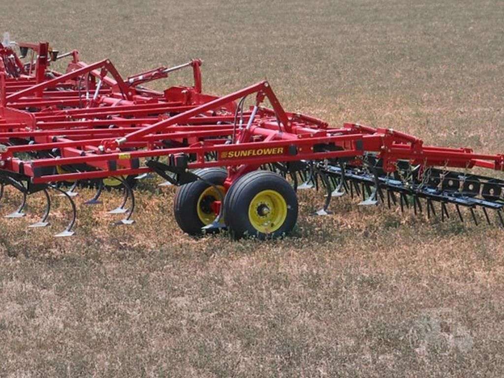 2026 SUNFLOWER 5056-45