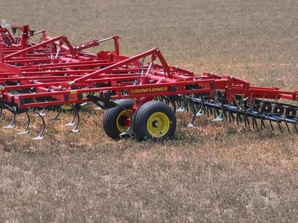 2026 SUNFLOWER 5056-45