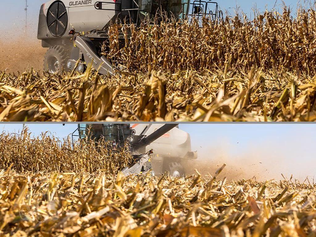 2026 GLEANER 3308 image 10