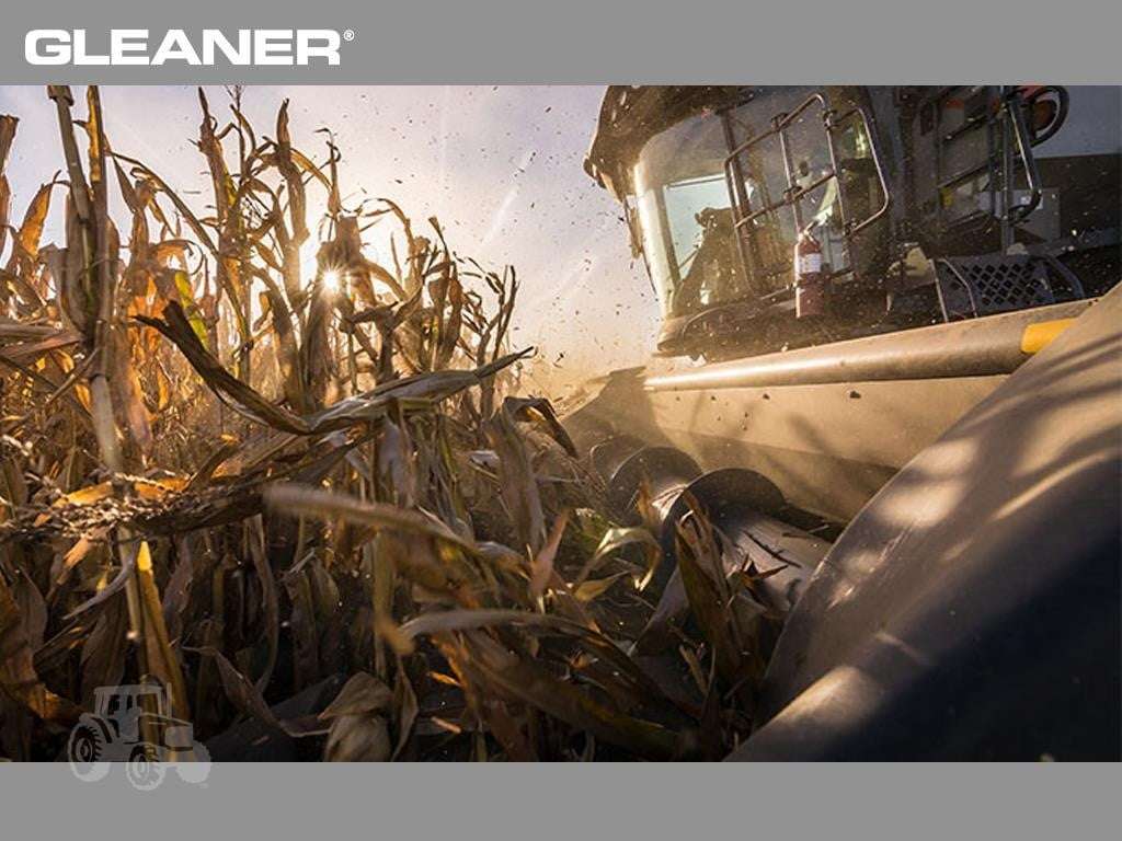 2026 GLEANER 3308 image 6