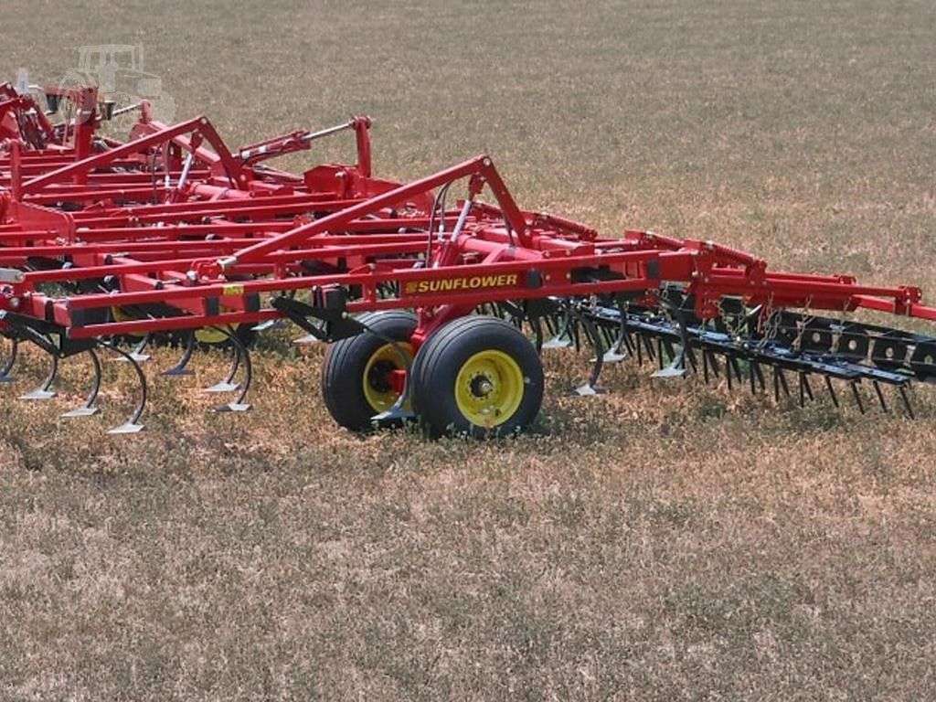 2026 SUNFLOWER 5056-63