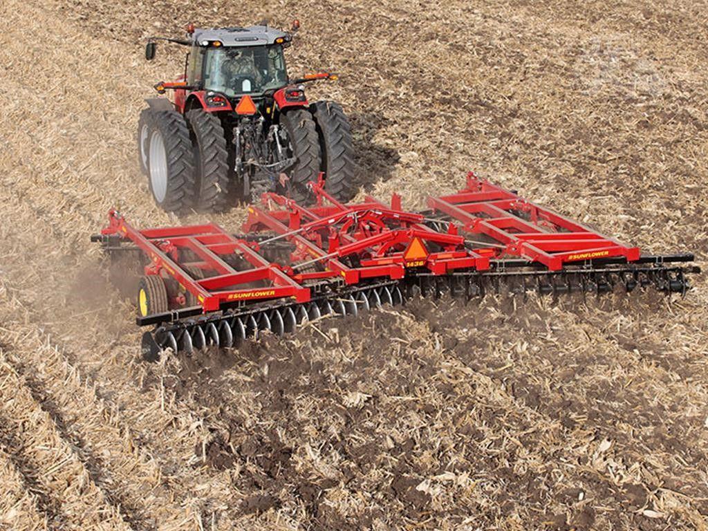 2026 SUNFLOWER 1436-29