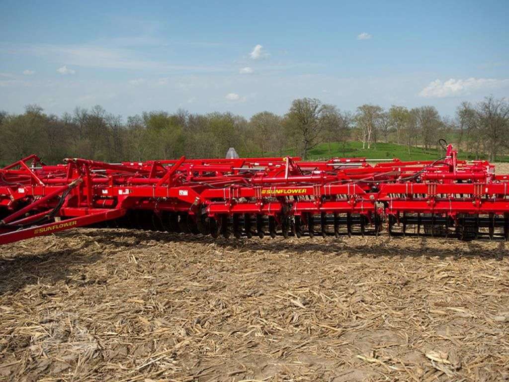 2026 SUNFLOWER 6433-43